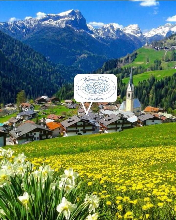 Aparthotel Residenza Domino Selva di Cadore Zewnętrze zdjęcie